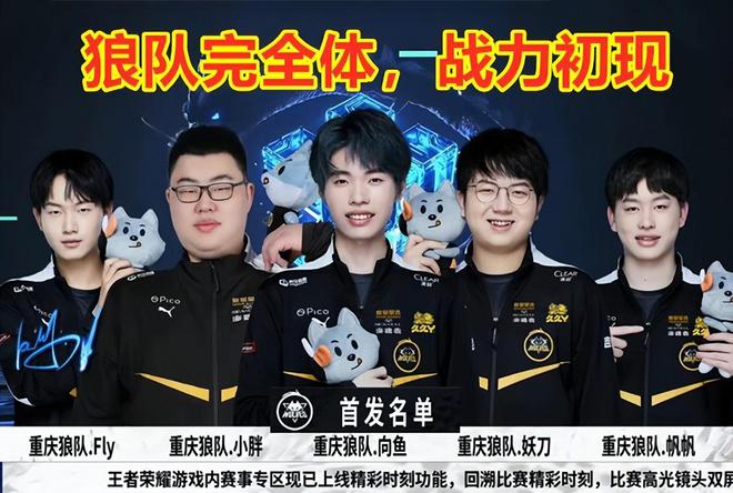的案例并不
